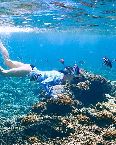 Fondo marino con peces y una chica haciendo snorkel.