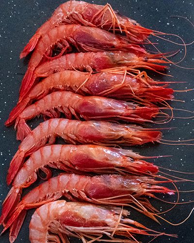 Gambas rojas presentadas en una pizarra.