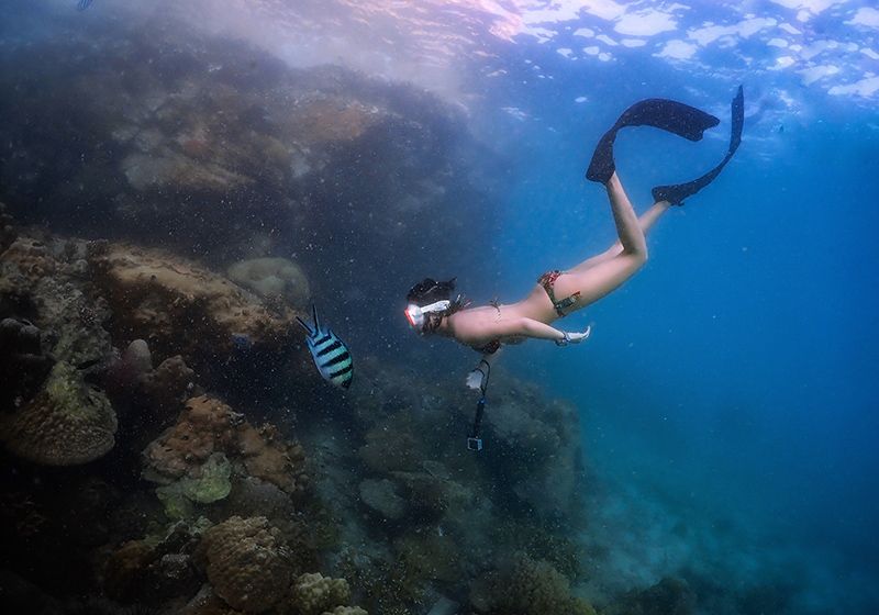 Fondo marino de roca con una chica que lleva aletas haciendo snorkel.