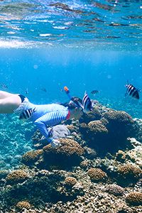 Fondo marino con peces y una chica haciendo snorkel.